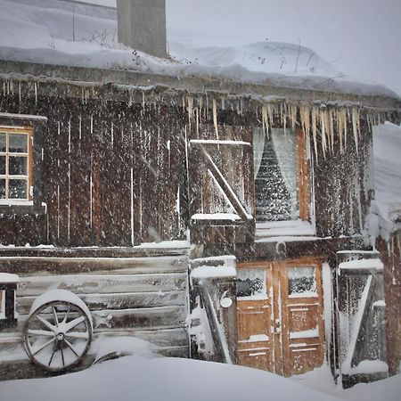 Albyggarden Villa Røros Buitenkant foto